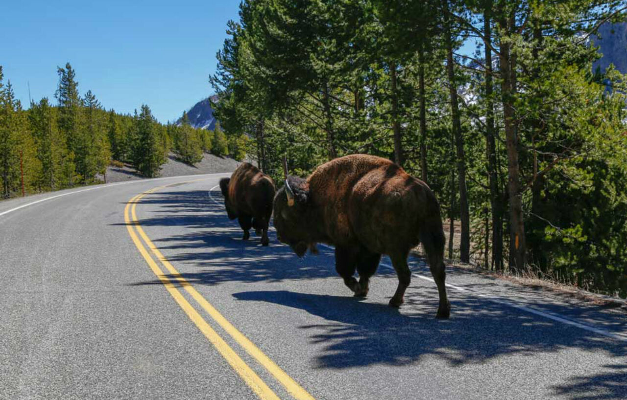Yellowstone Park Hotel Вест-Йеллоустоун Екстер'єр фото